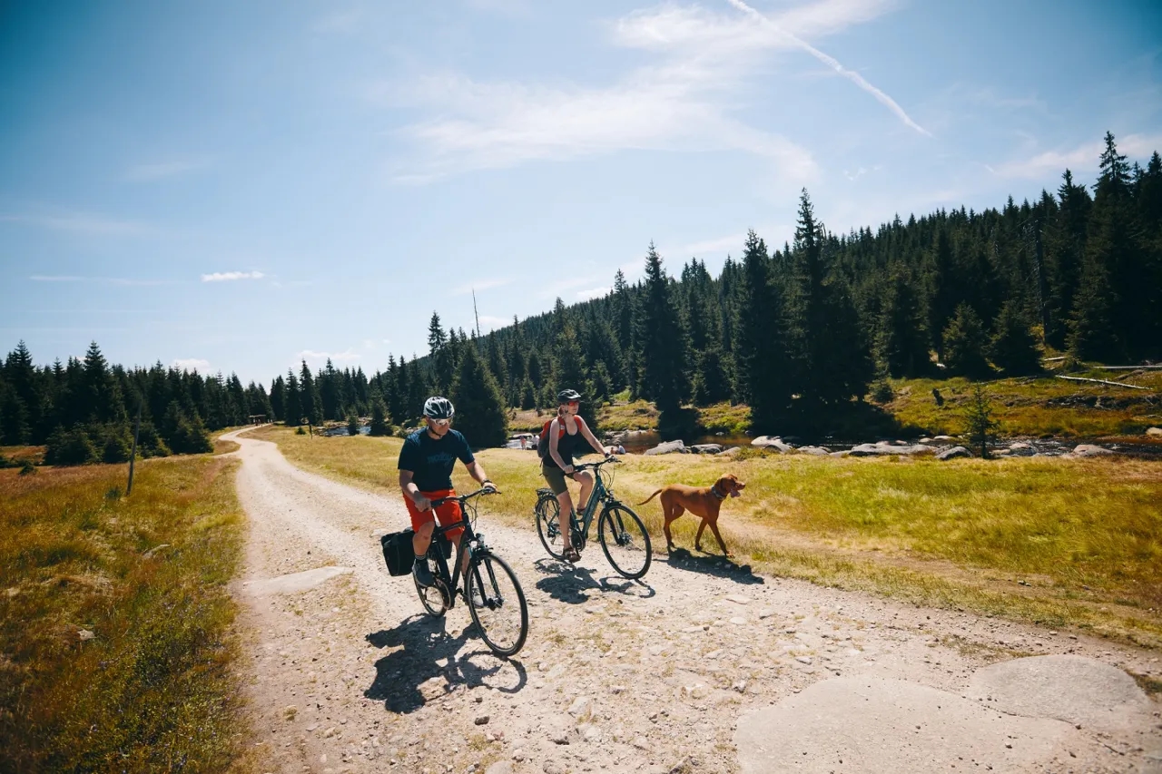 Jaki rower trekkingowy wybrać, by uniknąć nieudanej inwestycji?